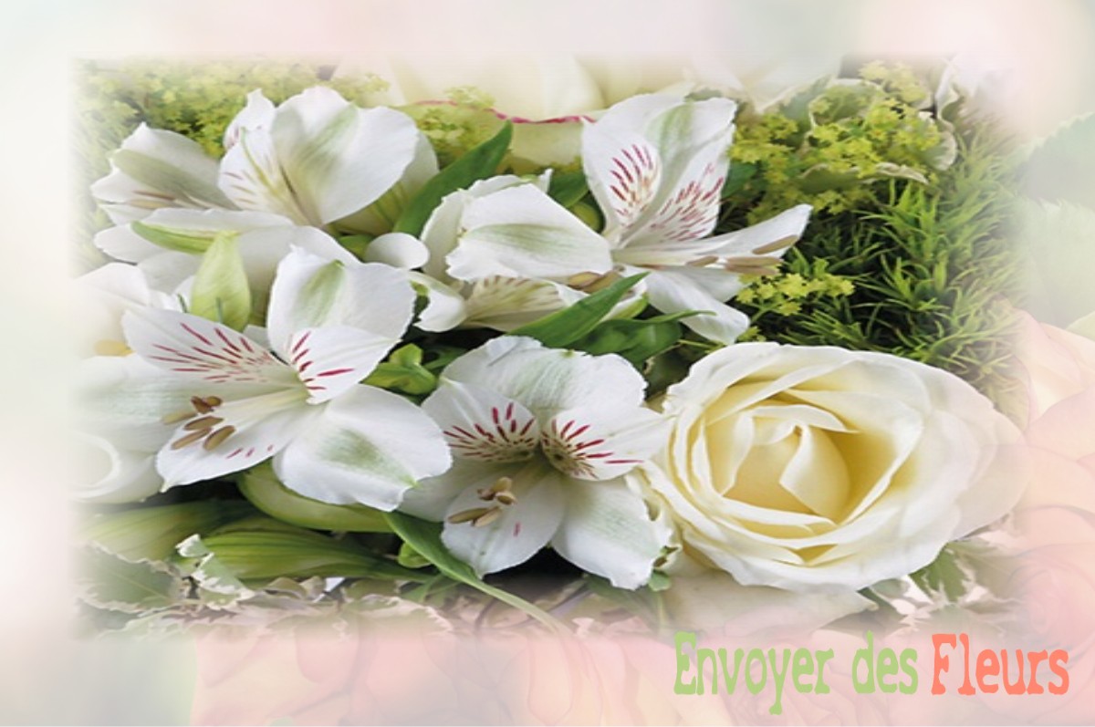 envoyer des fleurs à à SAINT-QUENTIN-DES-ISLES